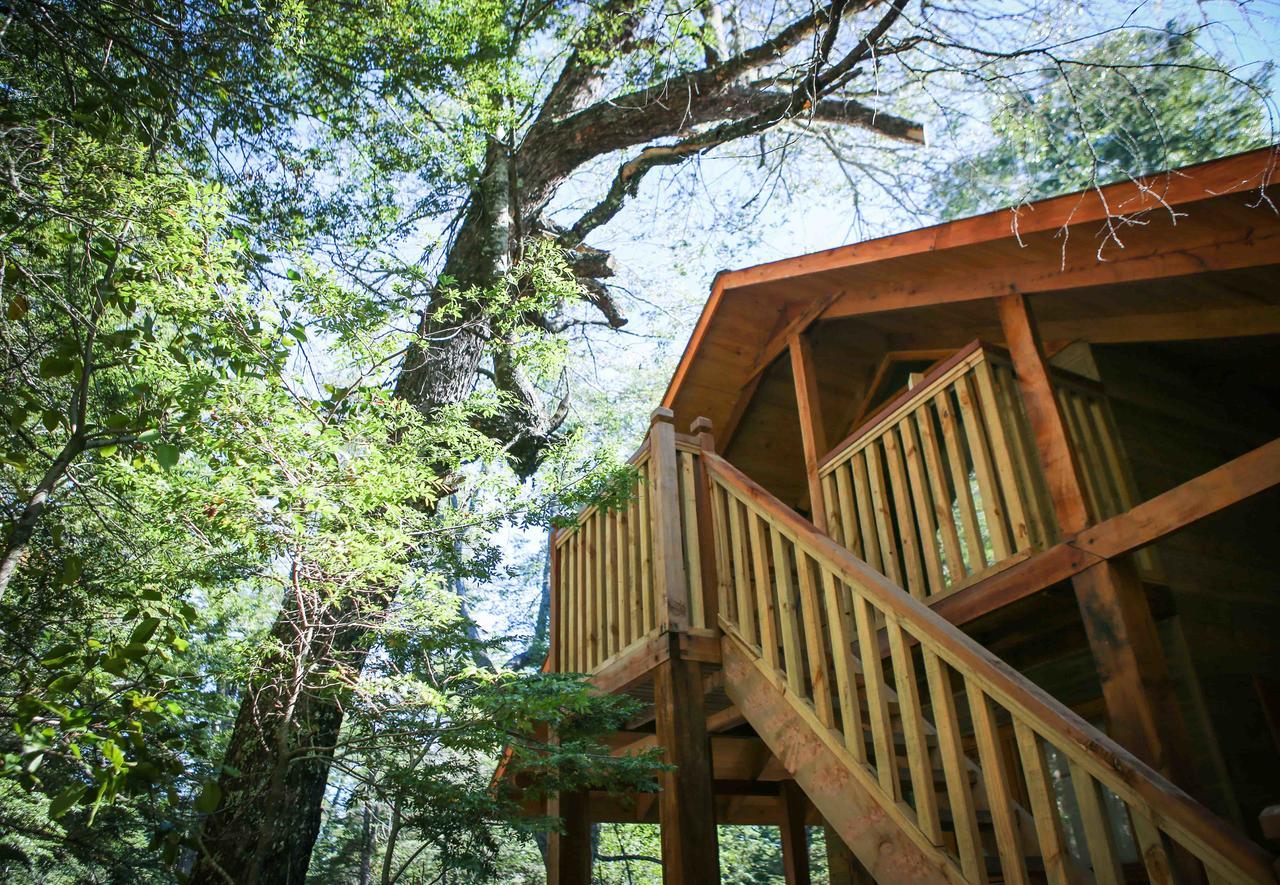 Llaima Camp Villa Curacautín Eksteriør bilde