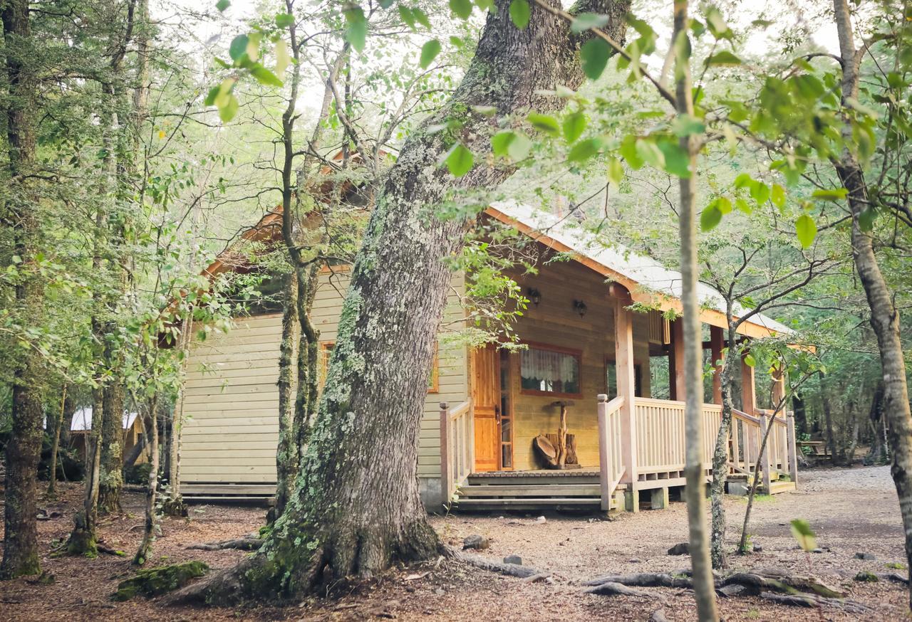 Llaima Camp Villa Curacautín Eksteriør bilde
